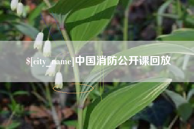 佛山中国消防公开课回放