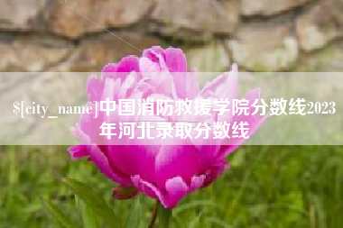 佛山中国消防救援学院分数线2023年河北录取分数线
