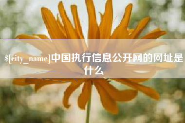 佛山中国执行信息公开网的网址是什么