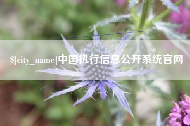 佛山中国执行信息公开系统官网