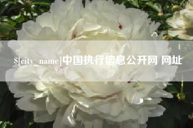 佛山中国执行信息公开网 网址