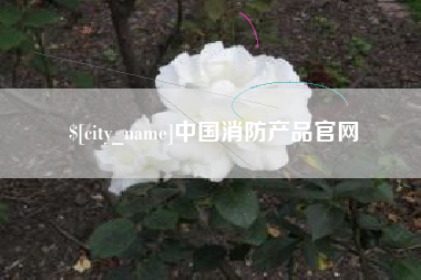 佛山中国消防产品官网