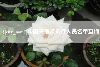 佛山中国失信被执行人员名单查询