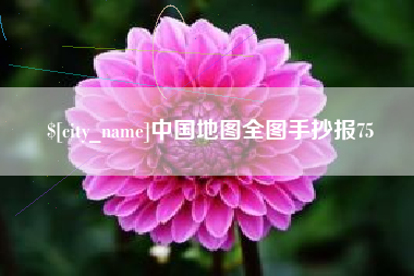 佛山中国地图全图手抄报75