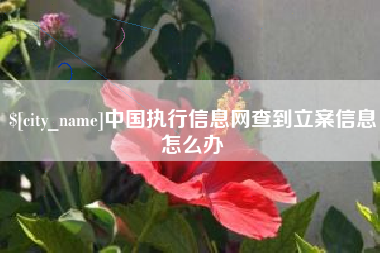 佛山中国执行信息网查到立案信息怎么办