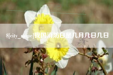佛山我国消防日是几月几日几日