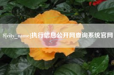 佛山执行信息公开网查询系统官网