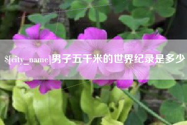 佛山男子五千米的世界纪录是多少