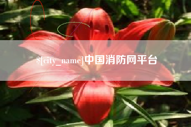 佛山中国消防网平台