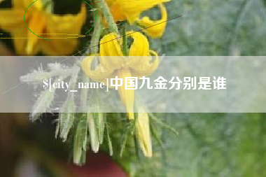 佛山中国九金分别是谁