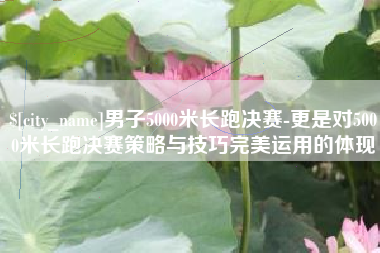 佛山男子5000米长跑决赛-更是对5000米长跑决赛策略与技巧完美运用的体现
