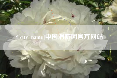 佛山中国消防网官方网站