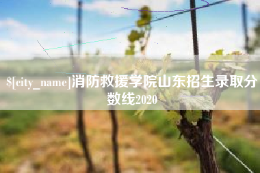 佛山消防救援学院山东招生录取分数线2020
