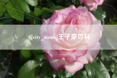 佛山王子豪百科