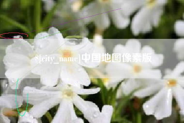 佛山中国地图像素版