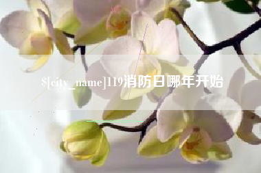 佛山119消防日哪年开始