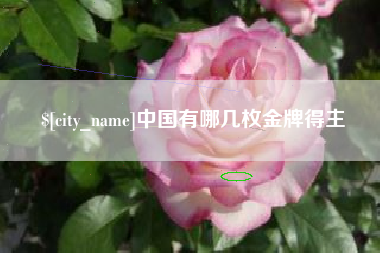 佛山中国有哪几枚金牌得主