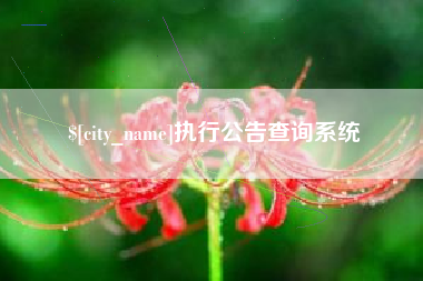佛山执行公告查询系统