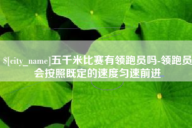 佛山五千米比赛有领跑员吗-领跑员会按照既定的速度匀速前进