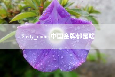 佛山中国金牌都是啥