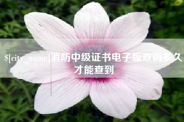 佛山消防中级证书电子版查询多久才能查到
