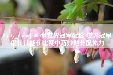 佛山5000米世界冠军配速-世界冠军们往往能在比赛中巧妙地分配体力