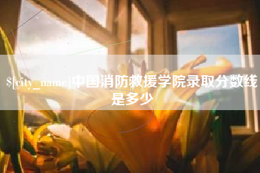 佛山中国消防救援学院录取分数线是多少