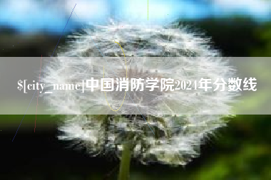 佛山中国消防学院2024年分数线