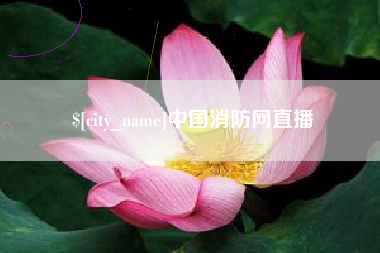 佛山中国消防网直播