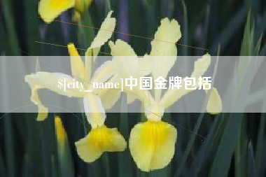 佛山中国金牌包括