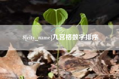佛山九宫格数字排序