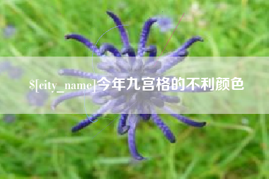 佛山今年九宫格的不利颜色