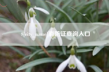 佛山消防证查询入口