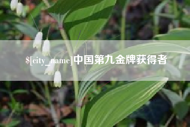 佛山中国第九金牌获得者