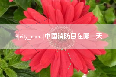 佛山中国消防日在哪一天