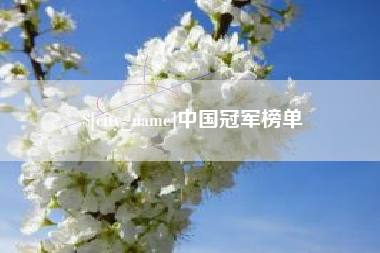 佛山中国冠军榜单