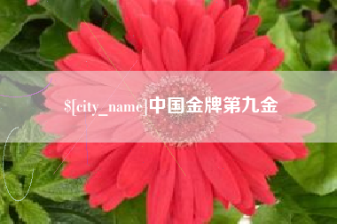 佛山中国金牌第九金