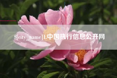 佛山1.中国执行信息公开网
