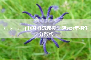 佛山中国消防救援学院2024年招生分数线