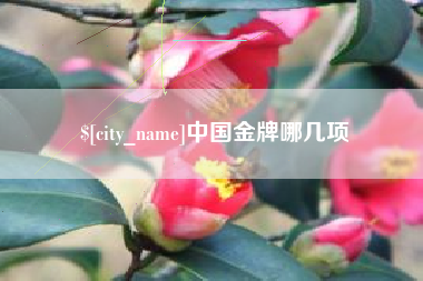 佛山中国金牌哪几项