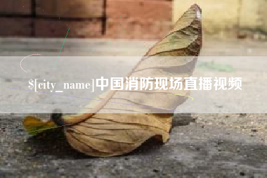 佛山中国消防现场直播视频