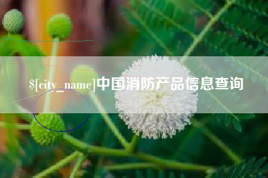 佛山中国消防产品信息查询