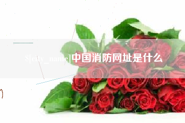 佛山中国消防网址是什么