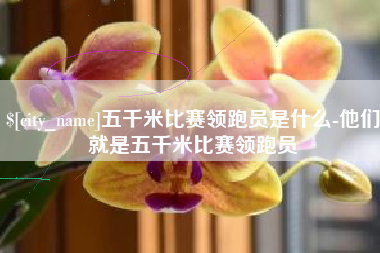 佛山五千米比赛领跑员是什么-他们就是五千米比赛领跑员