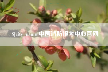 佛山中国消防报考中心官网