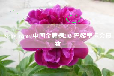 佛山中国金牌榜2024巴黎奥运会最新