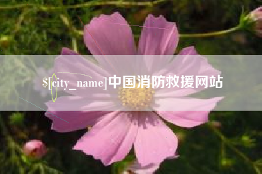 佛山中国消防救援网站