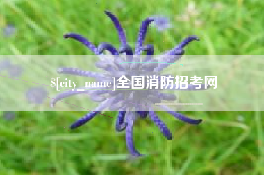 佛山全国消防招考网