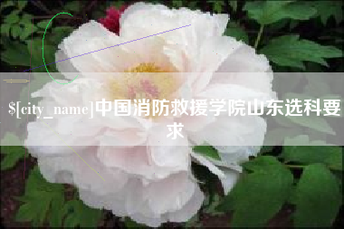 佛山中国消防救援学院山东选科要求