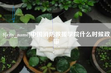 佛山中国消防救援学院什么时候政审